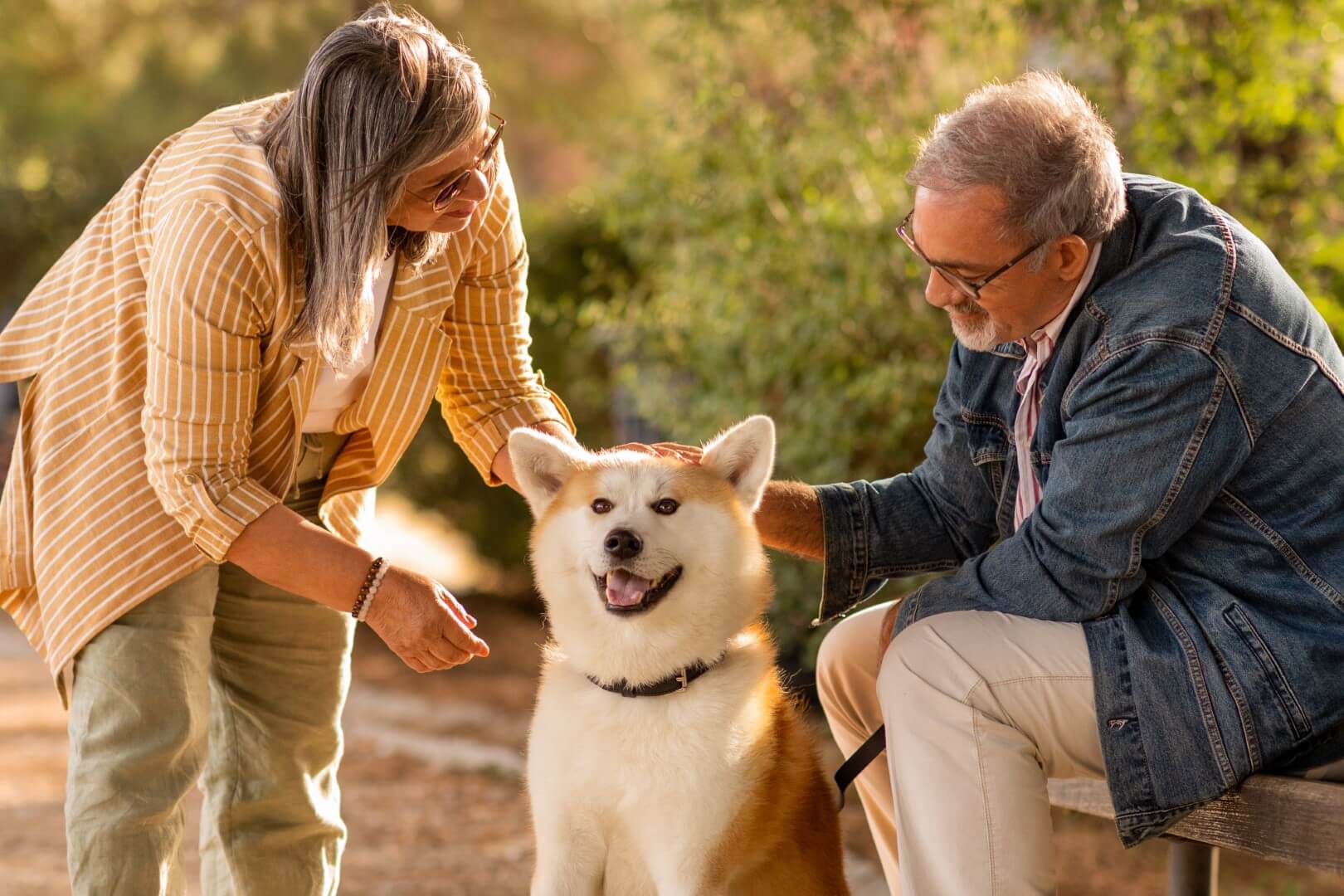 The benefits of having a pet during retirement