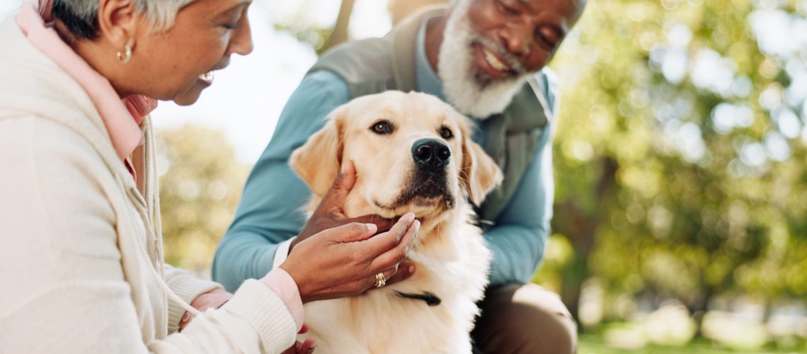 Senior,Couple,,Dog,And,Park,For,Playing,,Love,And,Care